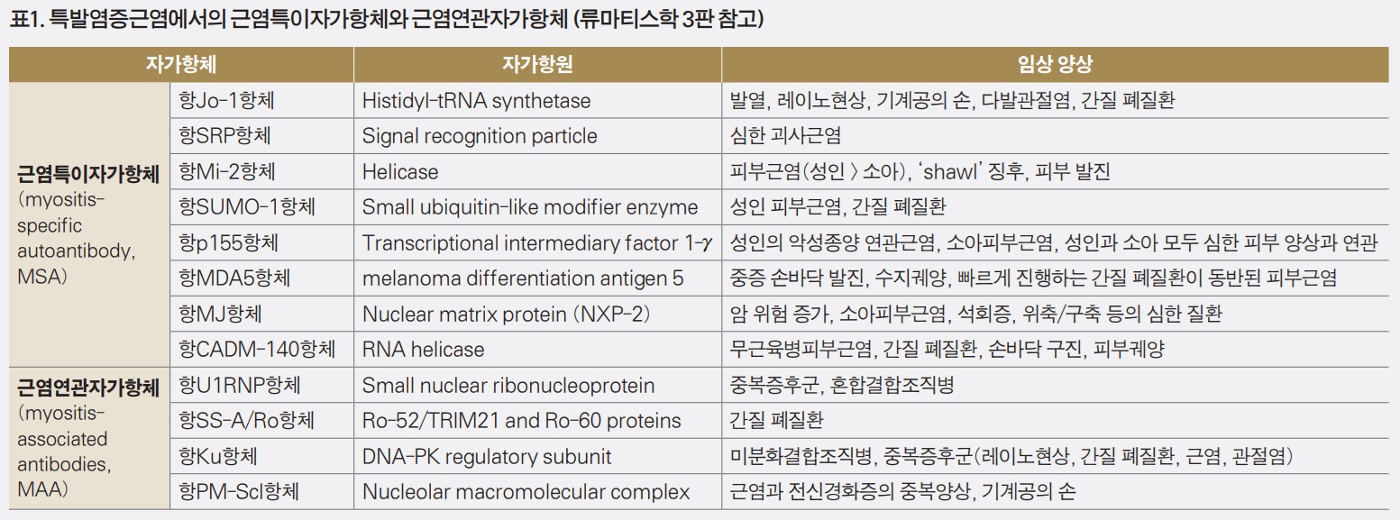염증 근염과  자가항체